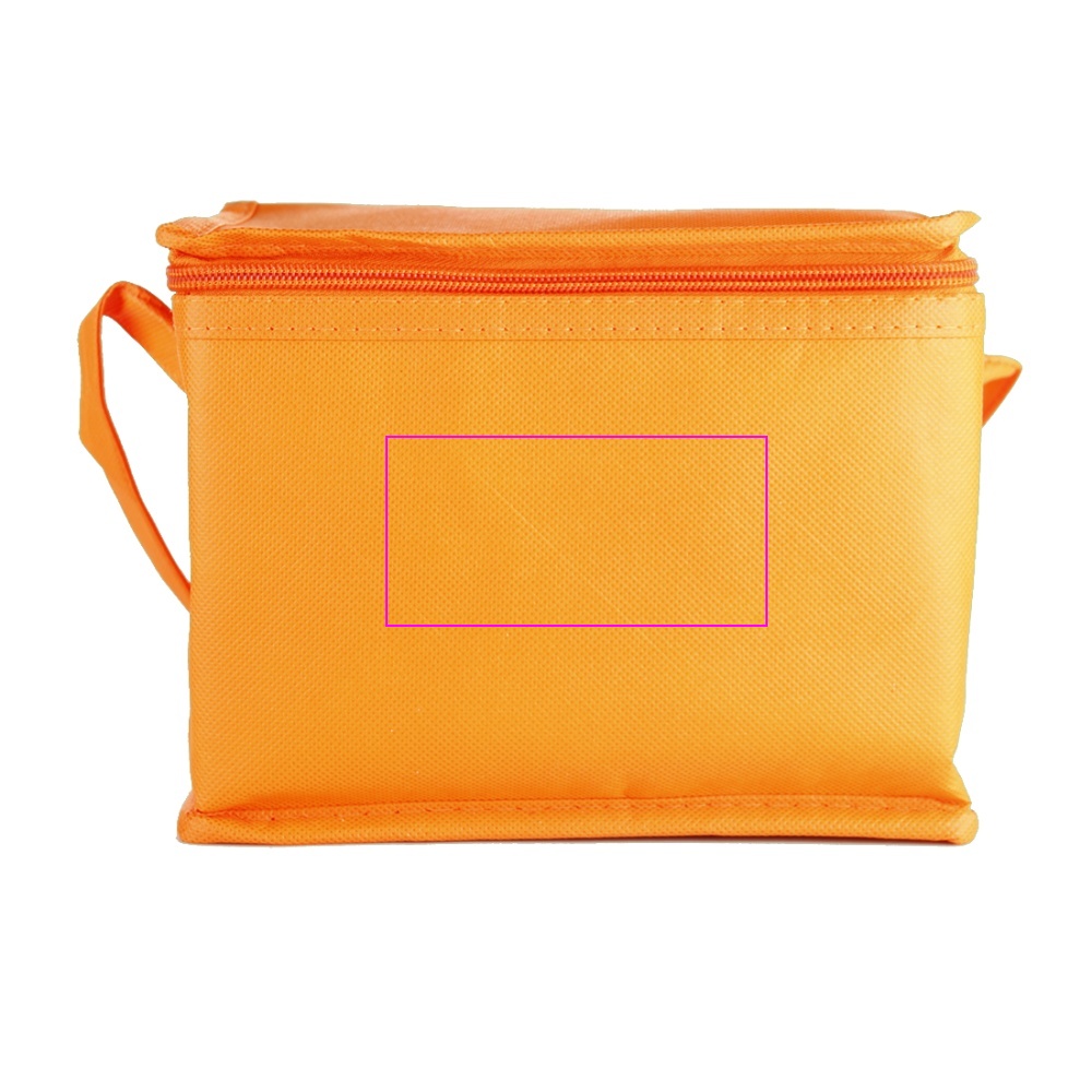 Non-woven thermal bag for 6 cans 330 ml LUDMILA