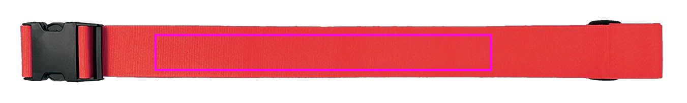 Luggage strap BRADLEY