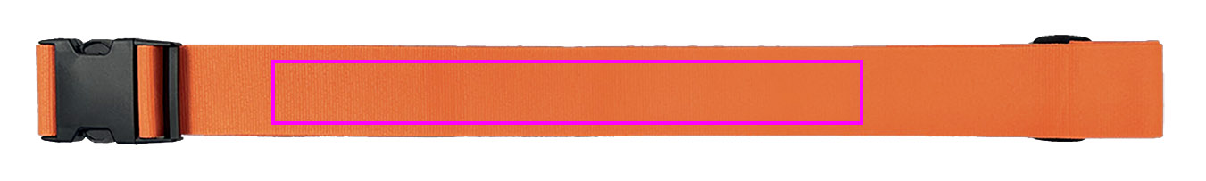 Luggage strap BRADLEY