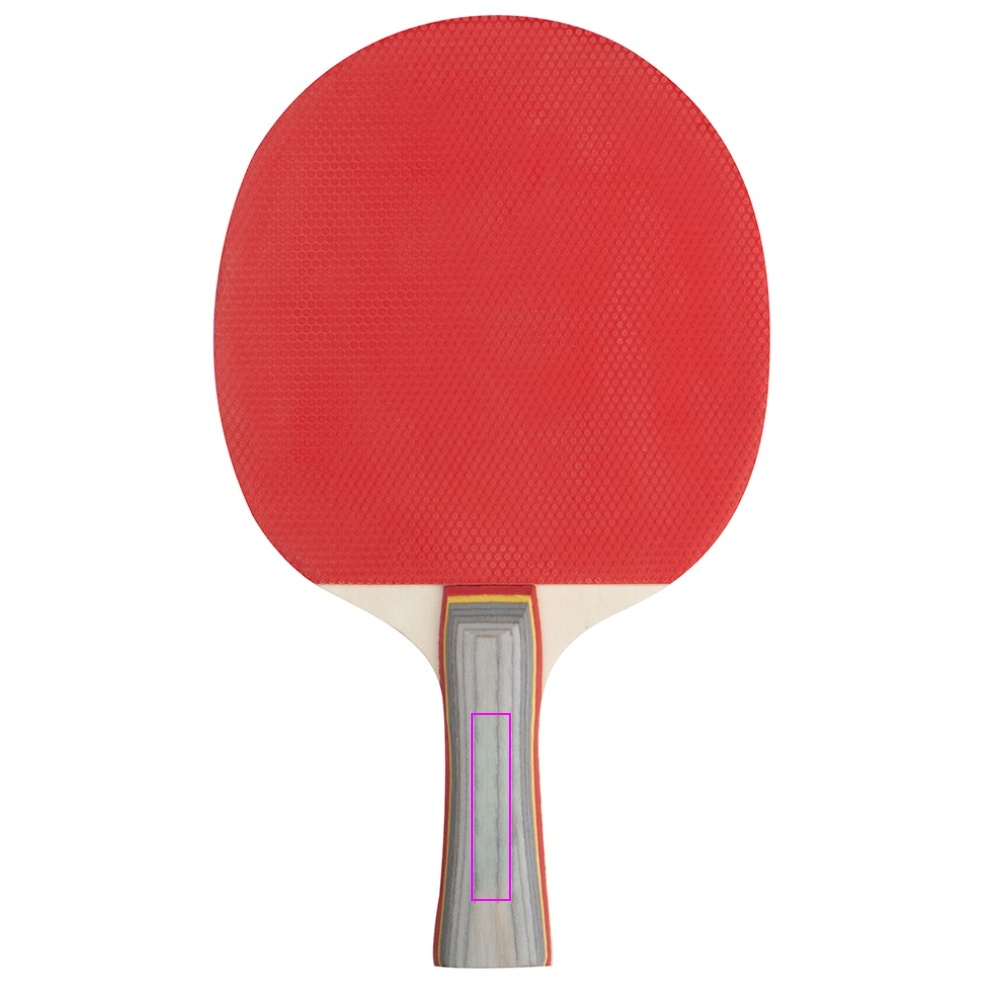 Ping pong set ZARA