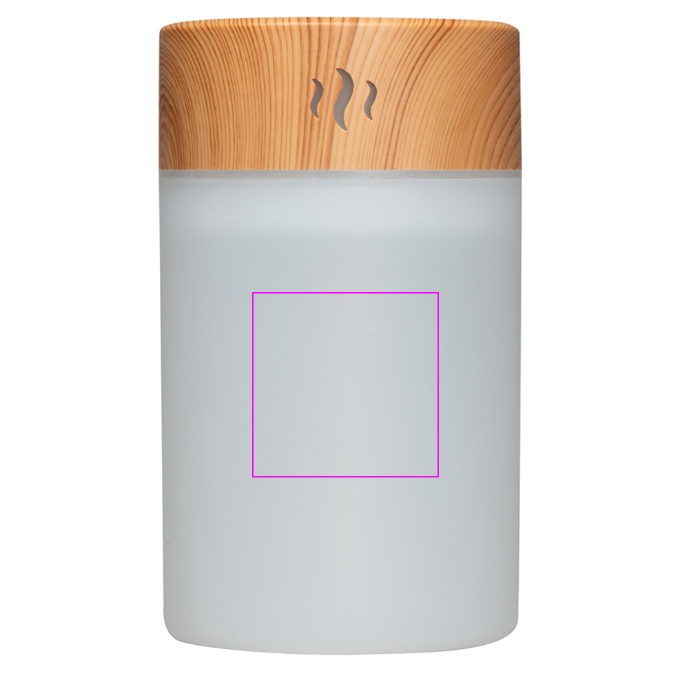 Air humidifier 255 ml RENATO