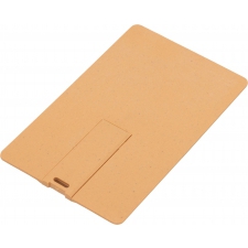 Large biodegradable credit card-shaped USB flash drive