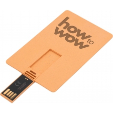 Large biodegradable credit card-shaped USB flash drive