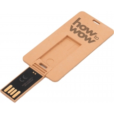 Small biodegradable credit card-shaped USB flash drive