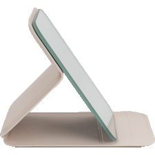 Mirror in a case