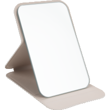 Mirror in a case