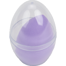 Makeup sponge case with sponge