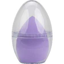 Makeup sponge case with sponge