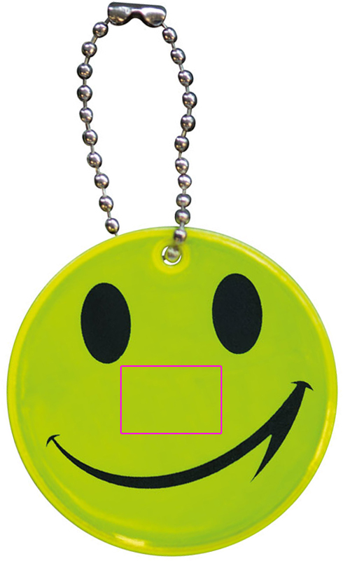Reflective pendant OTIS