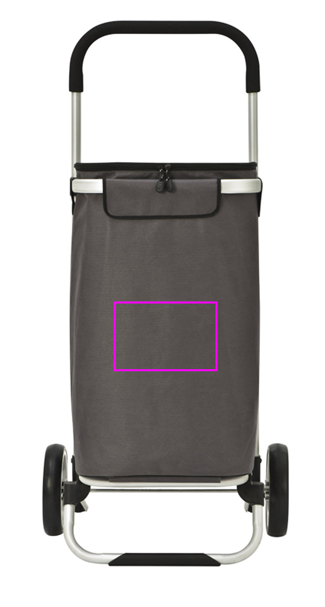 Shopping cart HARALD