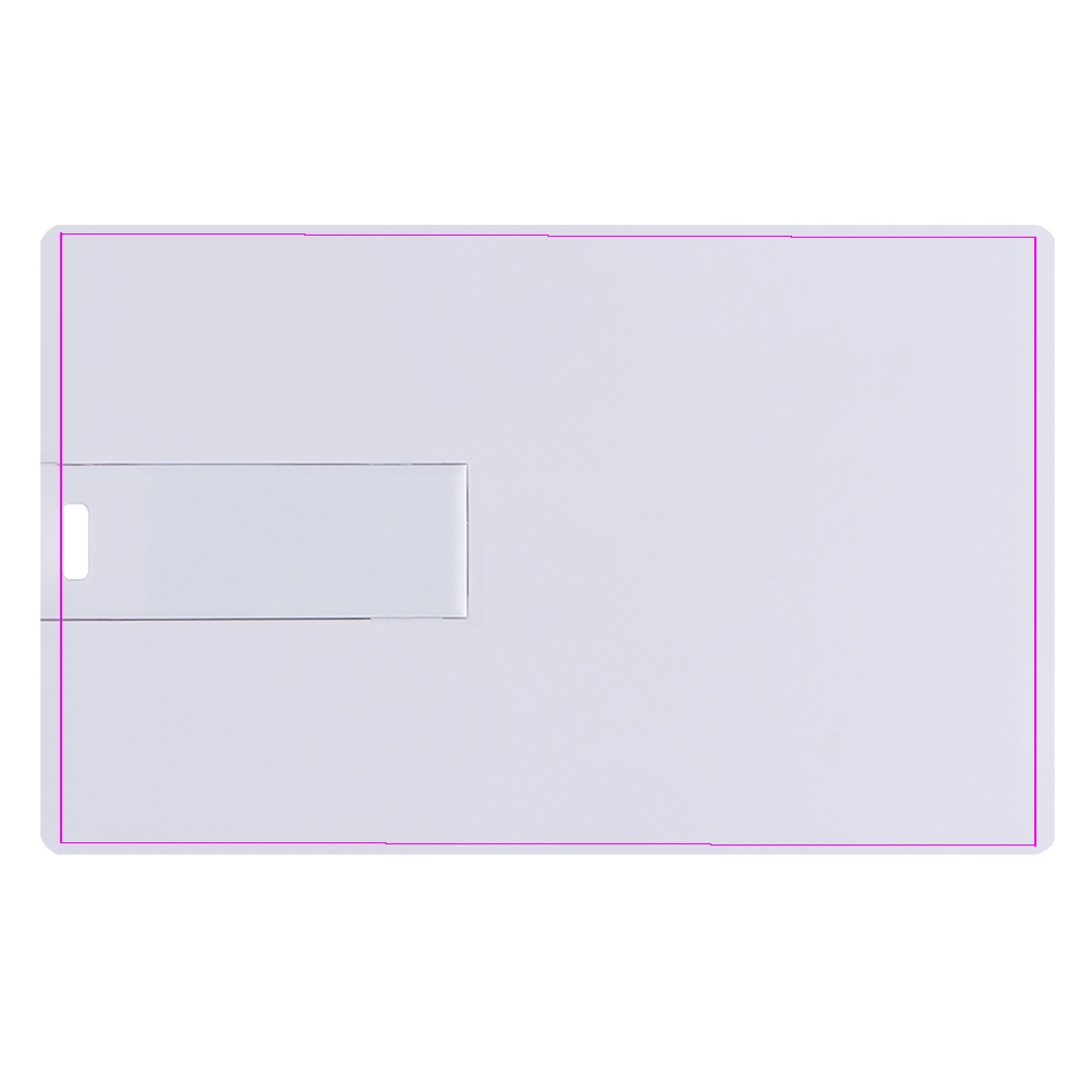 Plastic card USB flash drive 8GB 2.0 LEONA